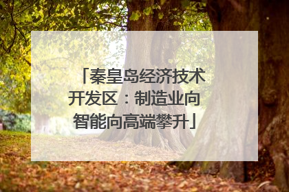 秦皇岛经济技术开发区：制造业向智能向高端攀升