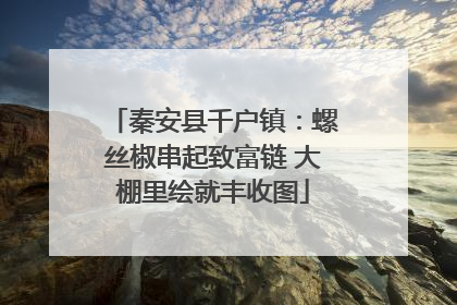 秦安县千户镇：螺丝椒串起致富链 大棚里绘就丰收图