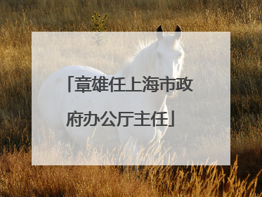 章雄任上海市政府办公厅主任