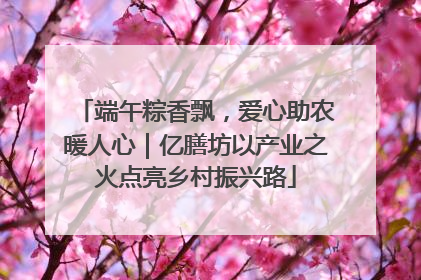 端午粽香飘，爱心助农暖人心｜亿膳坊以产业之火点亮乡村振兴路