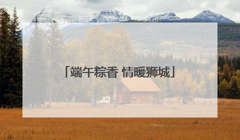 端午粽香 情暖狮城