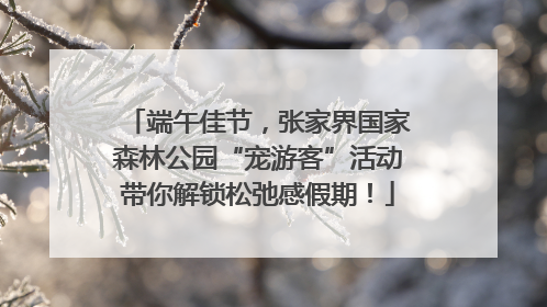 端午佳节，张家界国家森林公园“宠游客”活动带你解锁松弛感假期！
