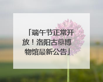 端午节正常开放！洛阳古墓博物馆最新公告