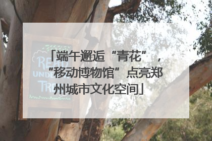 端午邂逅“青花”，“移动博物馆”点亮郑州城市文化空间
