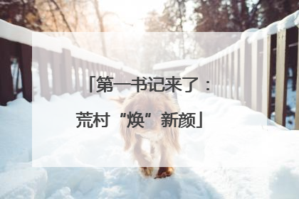 第一书记来了：荒村“焕”新颜