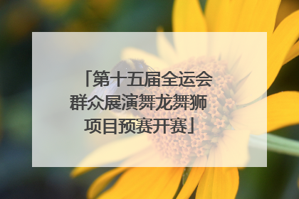 第十五届全运会群众展演舞龙舞狮项目预赛开赛