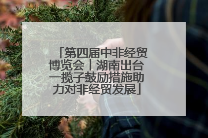 第四届中非经贸博览会丨湖南出台一揽子鼓励措施助力对非经贸发展