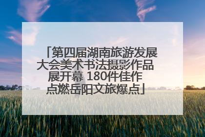 第四届湖南旅游发展大会美术书法摄影作品展开幕 180件佳作点燃岳阳文旅爆点