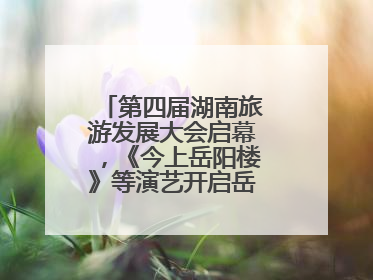 第四届湖南旅游发展大会启幕，《今上岳阳楼》等演艺开启岳阳文旅新场景