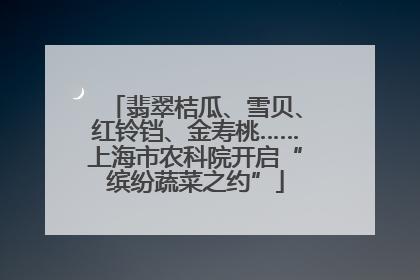 翡翠桔瓜、雪贝、红铃铛、金寿桃……上海市农科院开启“缤纷蔬菜之约”
