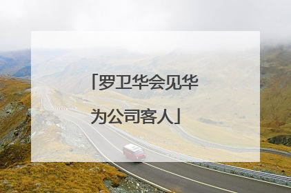 罗卫华会见华为公司客人