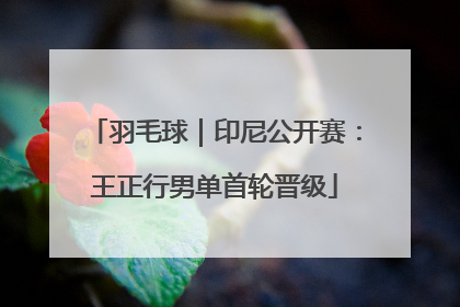 羽毛球|印尼公开赛:王正行男单首轮晋级