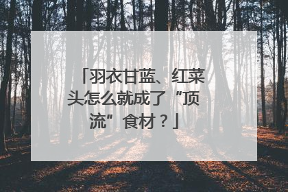 羽衣甘蓝、红菜头怎么就成了“顶流”食材？