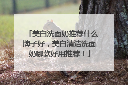 美白洗面奶推荐什么牌子好，美白清洁洗面奶哪款好用推荐！