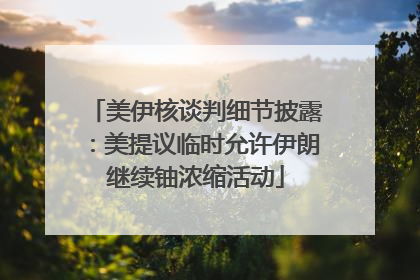 美伊核谈判细节披露：美提议临时允许伊朗继续铀浓缩活动