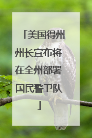 美国得州州长宣布将在全州部署国民警卫队