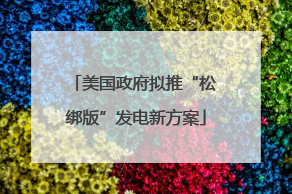 美国政府拟推“松绑版”发电新方案