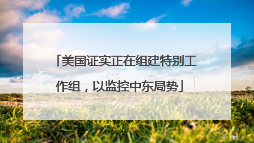 美国证实正在组建特别工作组，以监控中东局势
