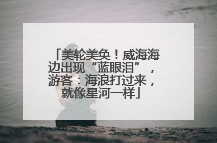 美轮美奂！威海海边出现“蓝眼泪”，游客：海浪打过来，就像星河一样