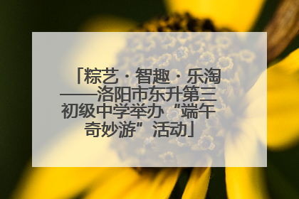 粽艺・智趣・乐淘——洛阳市东升第三初级中学举办“端午奇妙游”活动