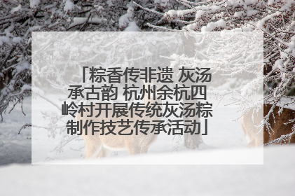 粽香传非遗 灰汤承古韵 杭州余杭四岭村开展传统灰汤粽制作技艺传承活动