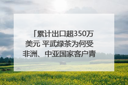 累计出口超350万美元 平武绿茶为何受非洲、中亚国家客户青睐？｜发布会观察