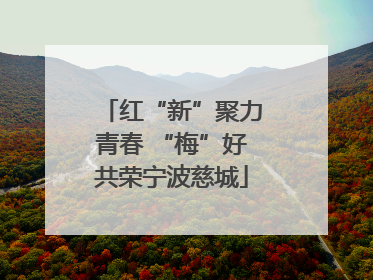 红“新”聚力青春 “梅”好共荣宁波慈城