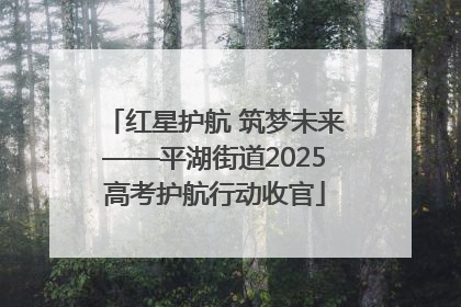 红星护航 筑梦未来——平湖街道2025高考护航行动收官