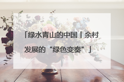 绿水青山的中国丨余村发展的“绿色变奏”