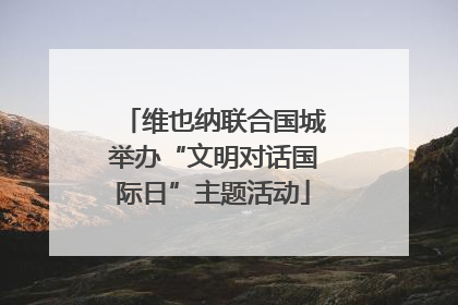 维也纳联合国城举办“文明对话国际日”主题活动