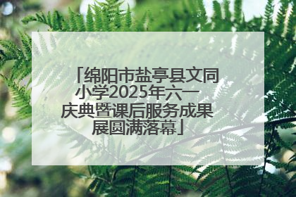 绵阳市盐亭县文同小学2025年六一庆典暨课后服务成果展圆满落幕