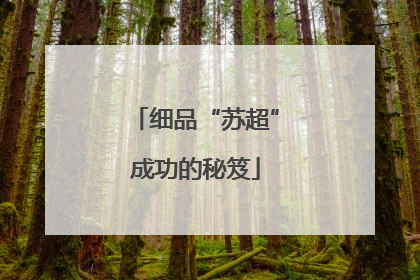 细品“苏超”成功的秘笈