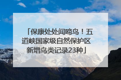 保康处处闻啼鸟！五道峡国家级自然保护区新增鸟类记录23种