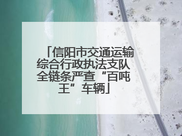 信阳市交通运输综合行政执法支队全链条严查“百吨王”车辆