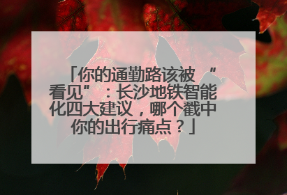 你的通勤路该被 “看见”：长沙地铁智能化四大建议，哪个戳中你的出行痛点？