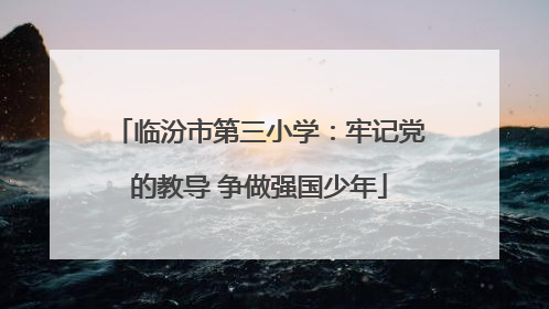 临汾市第三小学：牢记党的教导 争做强国少年