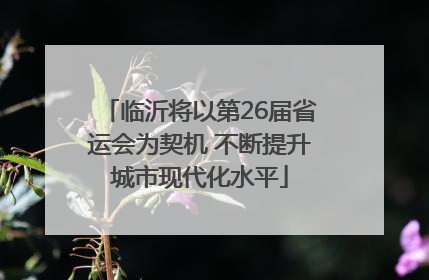 临沂将以第26届省运会为契机 不断提升城市现代化水平