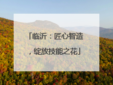 临沂：匠心智造，绽放技能之花