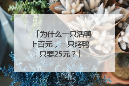 为什么一只活鸭上百元，一只烤鸭只要25元？