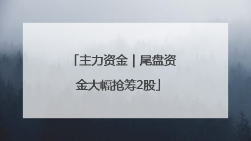 主力资金｜尾盘资金大幅抢筹2股