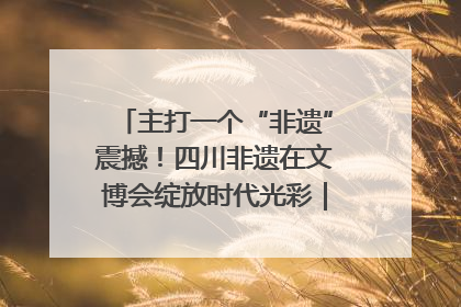 主打一个“非遗”震撼！四川非遗在文博会绽放时代光彩｜文博向“新”