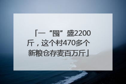 一“囤”盛2200斤，这个村470多个新粮仓存麦百万斤