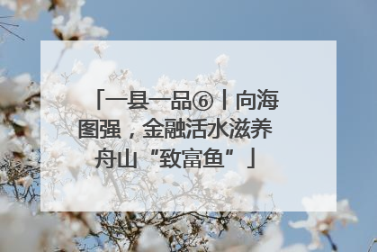 一县一品⑥丨向海图强，金融活水滋养舟山“致富鱼”