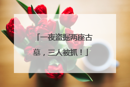 一夜盗掘两座古墓，三人被抓！
