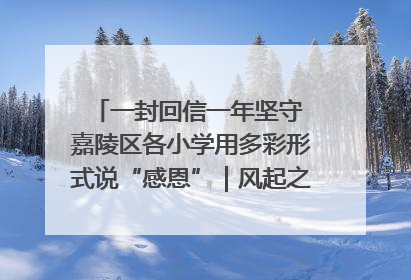 一封回信一年坚守 嘉陵区各小学用多彩形式说“感恩”｜风起之江 扶摇直上
