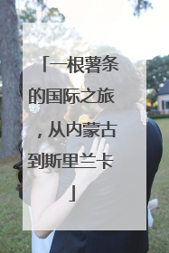一根薯条的国际之旅，从内蒙古到斯里兰卡