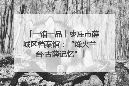 一馆一品丨枣庄市薛城区档案馆：“烽火兰台·古薛记忆”