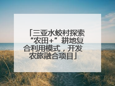 三亚水蛟村探索“农田+”耕地复合利用模式，开发农旅融合项目