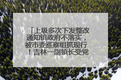 上级多次下发整改通知镇政府不落实，被市委巡察组抓现行！吉林一副镇长受党内警告处分