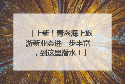 上新！青岛海上旅游新业态进一步丰富，到这里潜水！